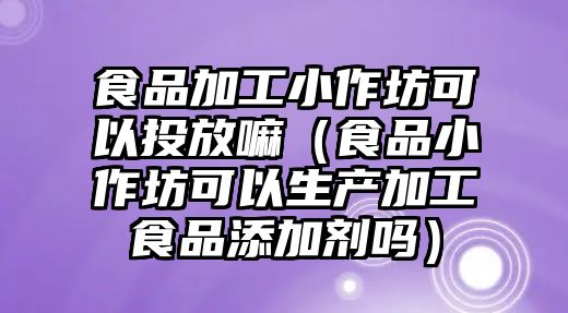 食品加工小作坊可以投放嘛（食品小作坊可以生產(chǎn)加工食品添加劑嗎）