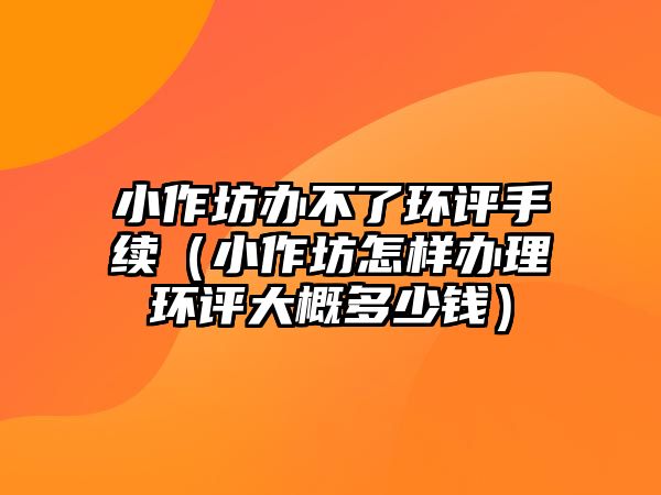 小作坊辦不了環評手續（小作坊怎樣辦理環評大概多少錢）