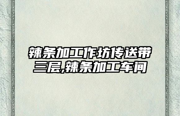 辣條加工作坊傳送帶三層,辣條加工車間