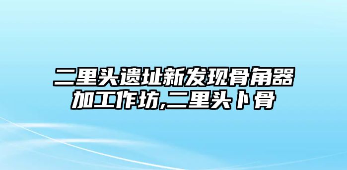 二里頭遺址新發(fā)現(xiàn)骨角器加工作坊,二里頭卜骨