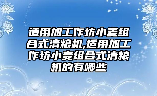 適用加工作坊小麥組合式清糧機,適用加工作坊小麥組合式清糧機的有哪些