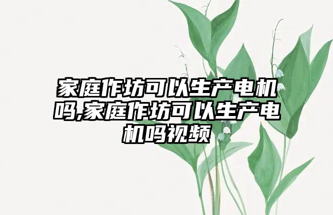 家庭作坊可以生產電機嗎,家庭作坊可以生產電機嗎視頻