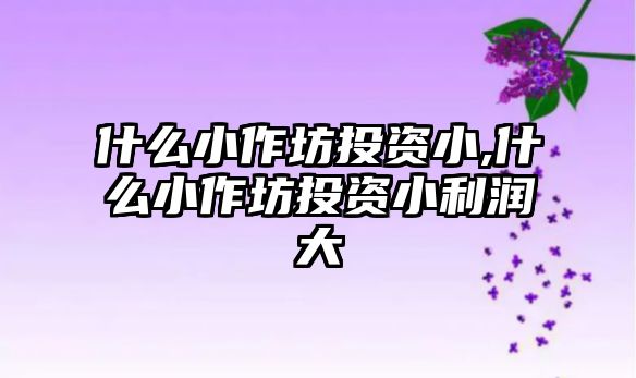 什么小作坊投資小,什么小作坊投資小利潤大